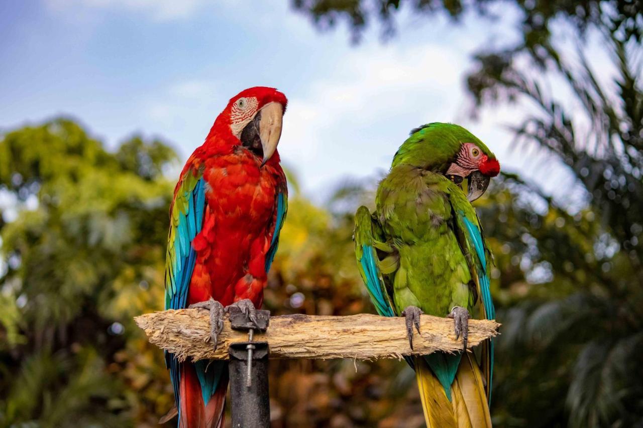 Las Mananitas Cuernavaca Bagian luar foto