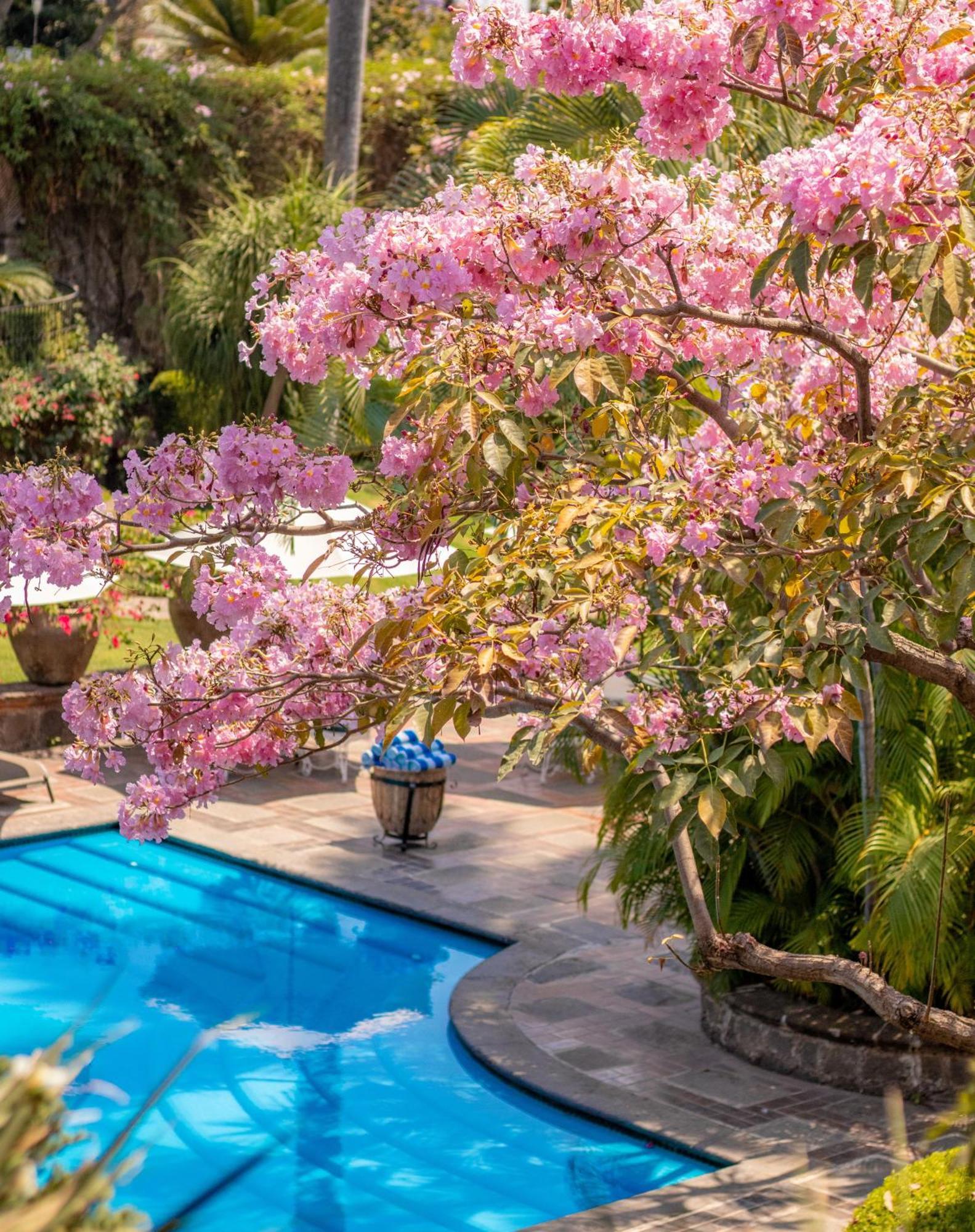 Las Mananitas Cuernavaca Bagian luar foto
